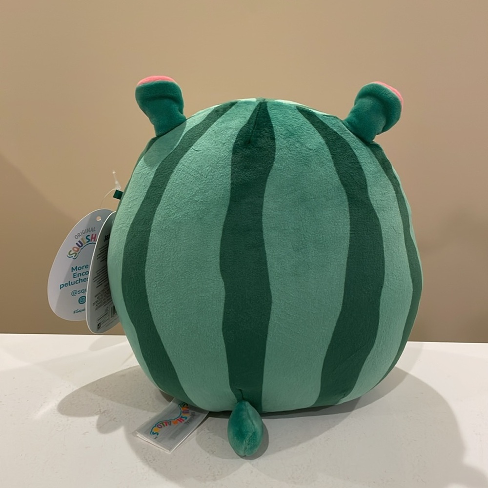 NWT 8” Damaris the Watermelon Hippo Squishmallow - Crossover Squad Series 1 - Picture 2 of 5